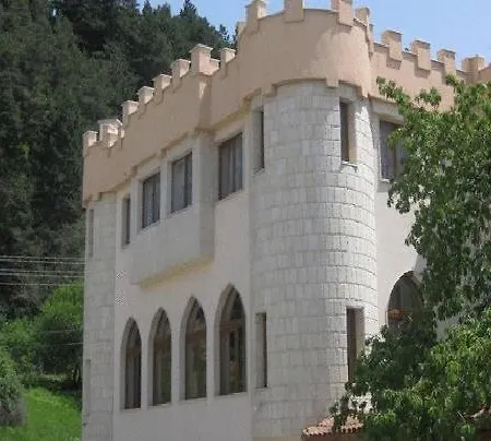 מלון The Castle 3*